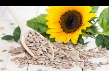 Sunflower Seeds 1kg BULK
