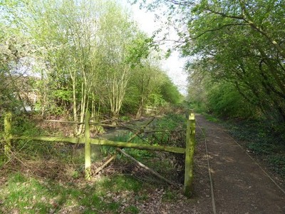 Photo A2 Pond in Ainslie Wood Chingford Ainslie Wood was once known as E c2017