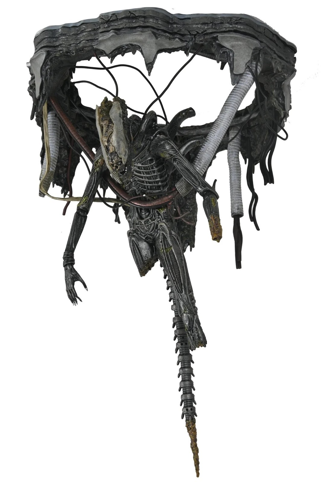 Alien: Romulus SUSPENDED LAB XENOMORPH Diorama