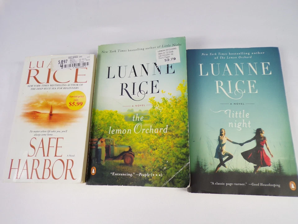 Six Book Lot By Luanne Rice (3) Belva Plain (3) Six Great Stories G25 Foto 4 de 4