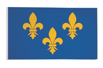 Fahne Flagge Fleur de Lys 90 x 150 cm Hissfahne