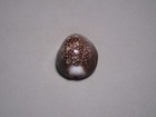Picture 4 of 6