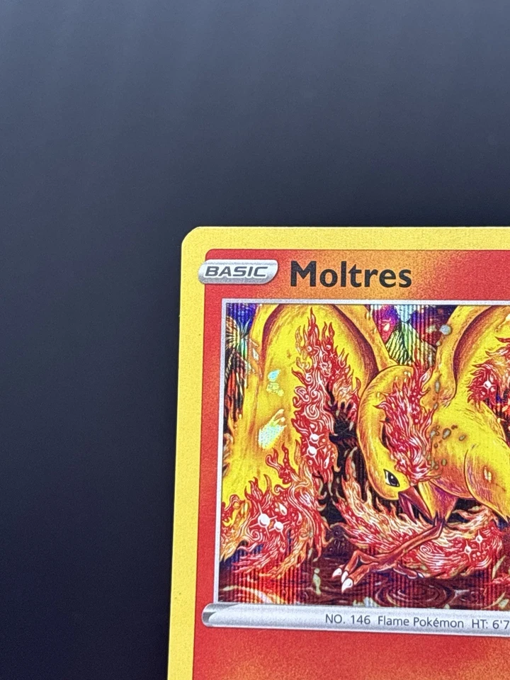 Moltres - SWSH185 - Pokemon Sword & Shield Promo PreRelease Holo Rare Card LP - Image 2 of 4