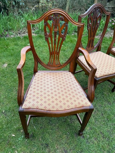 Set of Six 6 Georgian Style Mahogany Sheild Back Dining Chairs Fleur de Lys - Picture 3 of 24