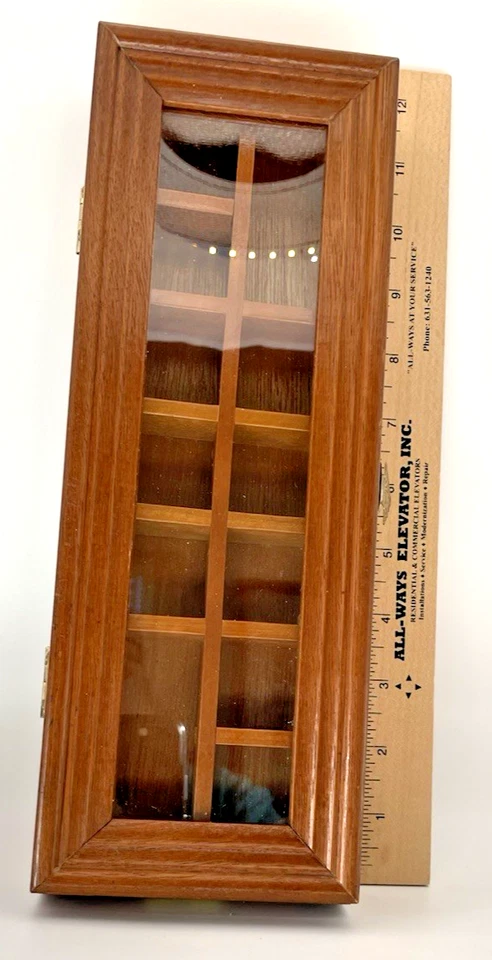 VITRINA DE PARED DE MADERA VINTAGE PARA MINIATURAS PUERTA DE VIDRIO GABINETE DE CURIOSIDADES 12"X4"X1 Foto 2 de 4