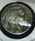 1937-D - Buffalo Nickels- Nice Full Date