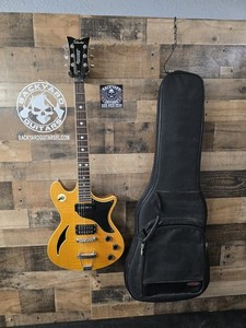 Schecter Diamond Series Guitar | eBay