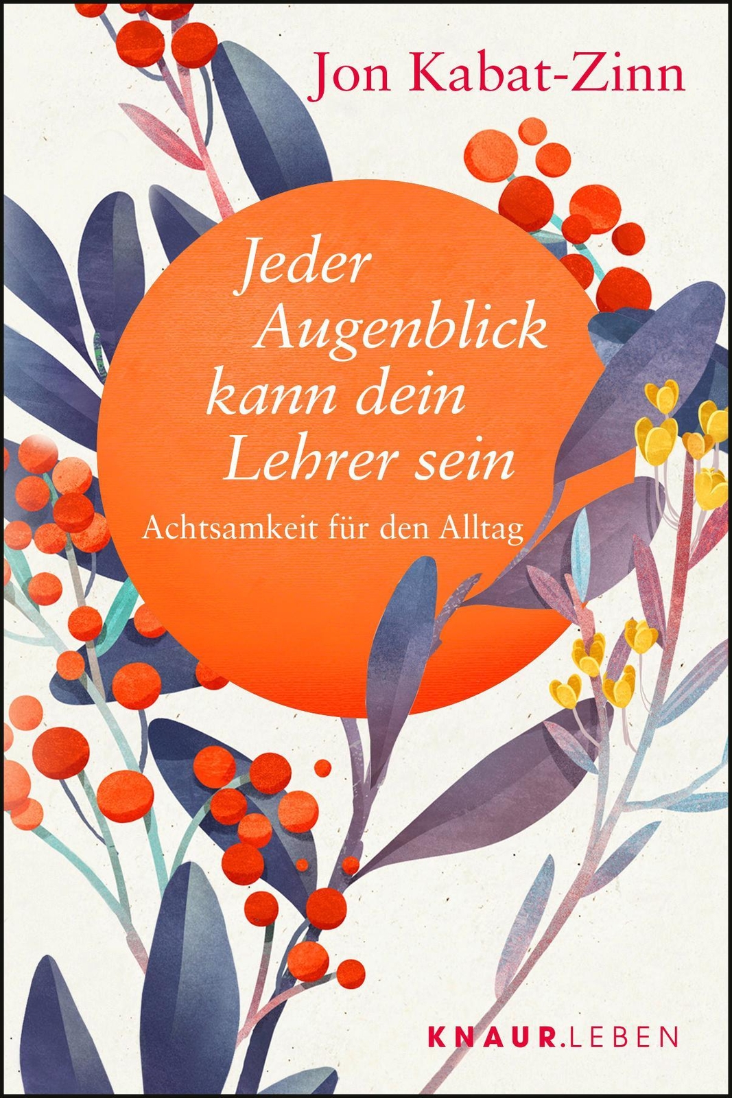 Thumbnail - Jeder Augenblick Kann Dein Lehrer Sein Jon Kabat-zinn