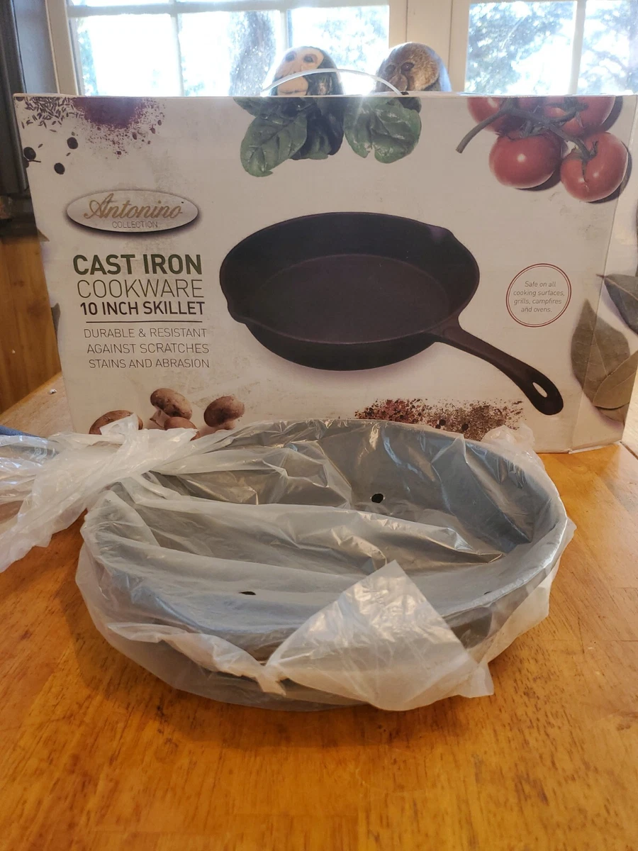 10 cast 2024 iron skillet