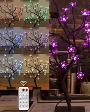 20 Inch Cherry Blossom Bonsai Tree, Full-Color DIY Dimming and Mixing, with 24V