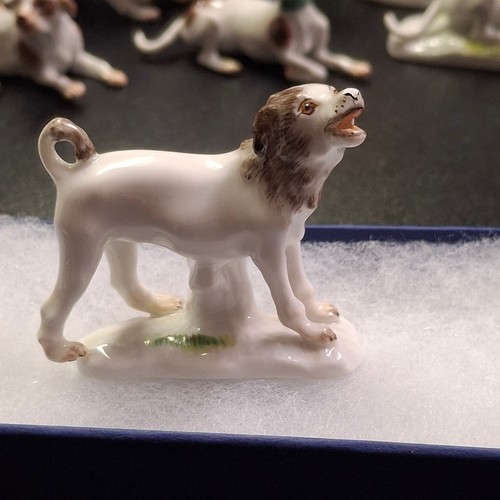 Antique Meissen Miniature (Minuscula) Pomeranian porcelain dog 19th Century 2"