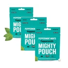 Peppersmith English Peppermint Xylitol Mints 50g Mighty Box (Pack of 3)