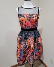 Adrianna Papell Women's Floral Jacquard Mesh Fit & Flare Dress. Sz 4