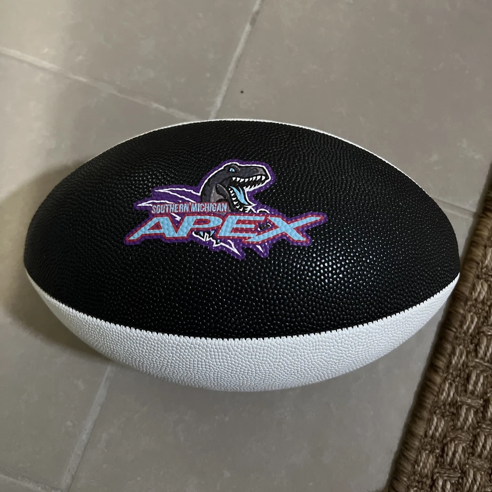 Fútbol Compuesto Baden Deluxe F9C-5056 Oficial Talla 9 (personalizado para APEX) Foto 2 de 3