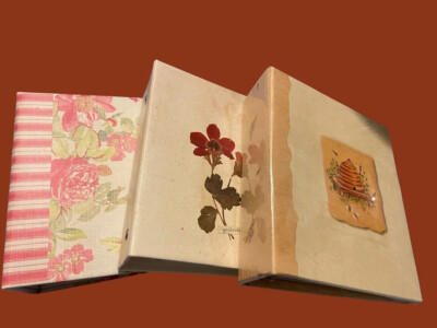 Set Of (3) 4x6 Photo Album 100 Pocket Christmas Gift Package Deal Trip  Memories