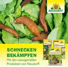 Bild 7 von 7