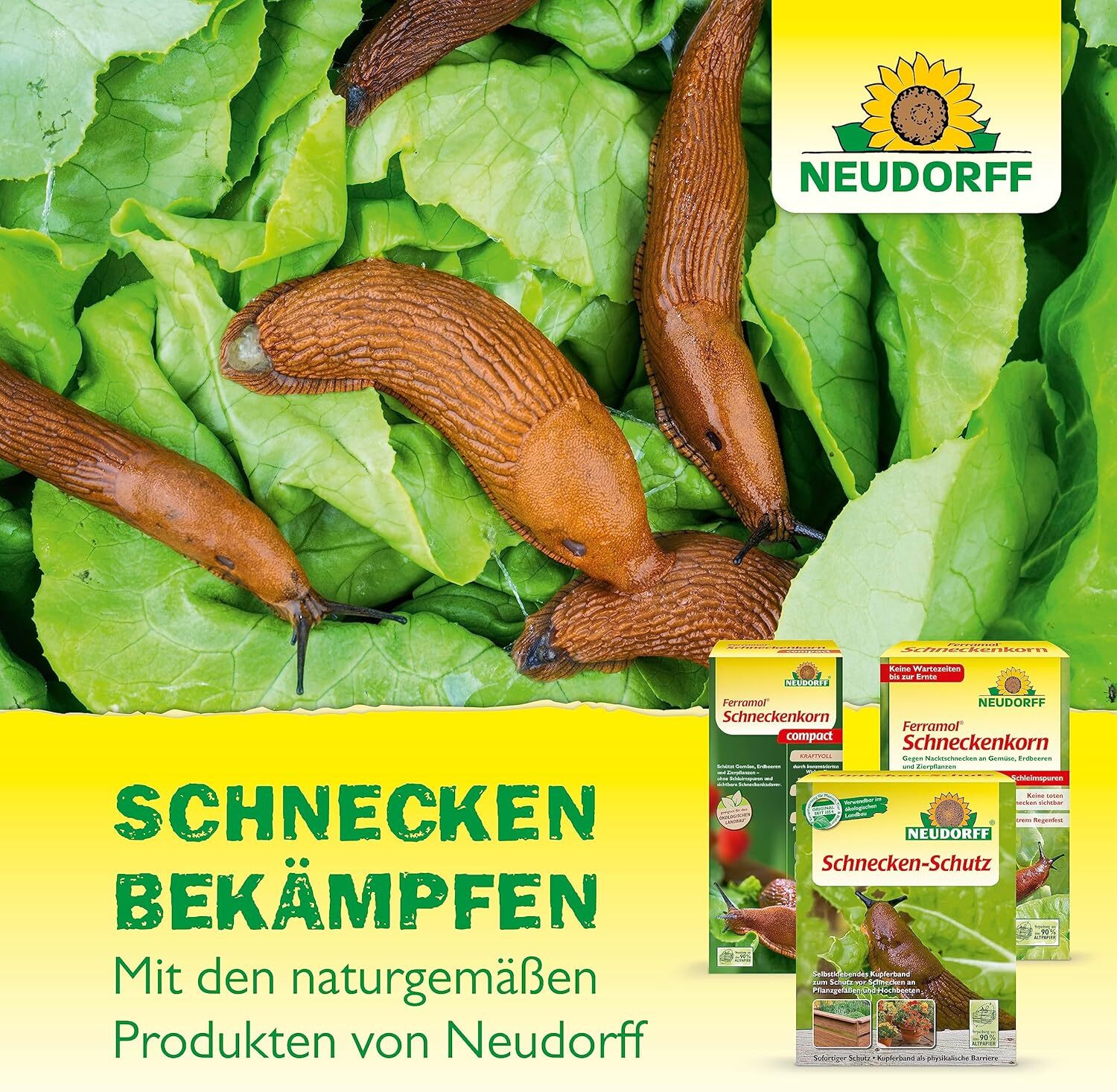 Bild 7 von 7