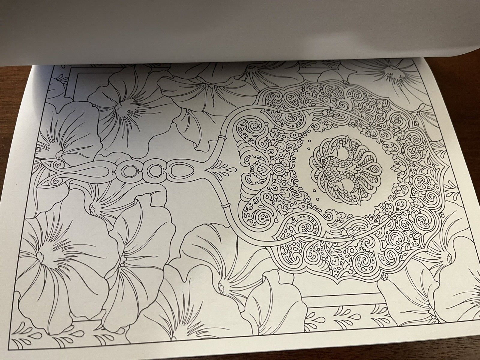 Picture 10 of 11