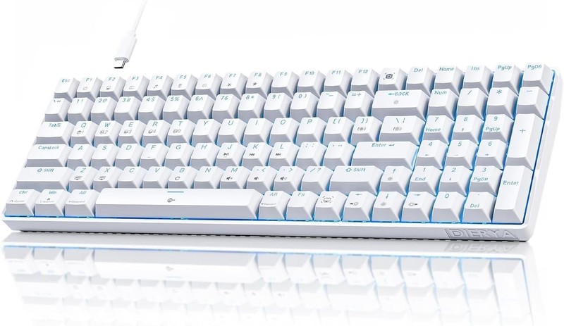 DIERYA DK98SE Gaming Keyboard Wired Mechanical Keyboard with Linear Red Switch