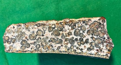 SPOTTED JASPER FOR LAPIDARY WORK - ONE FLAT FACE