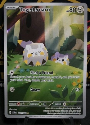 Pokémon Togedemaru 104/094 Illustration Rare Phantasmal Flames Scarlet & Violet 