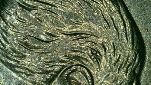 2005 P Roosevelt Dime Error Die Chip Hair,Lip,Torch - Picture 3 of 5