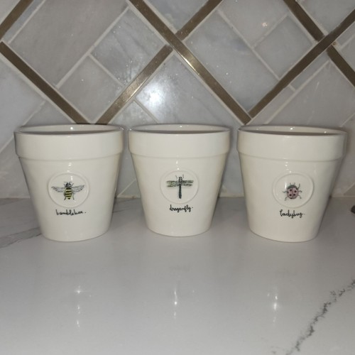 3 vasi e vassoi per piante di insetti in ceramica bianca coccinella d'ape Rae Dunn Magenta - Foto 2 di 12