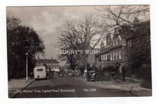 ESSEX, BRENTWOOD, INGRAVE ROAD, THE MARTYRS TREE, RP