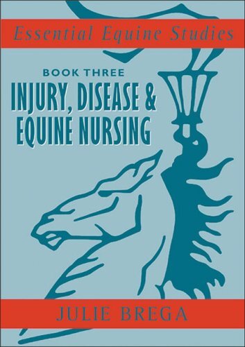 Essential Equine Studies (Essential Equi... by Brega, Julie Paperback / softback