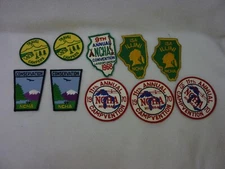VINTAGE NATIONAL CAMPERS & HIKERS ASSOCIATION NCHA PATCH LOT OF 10 IL MI CONSERV