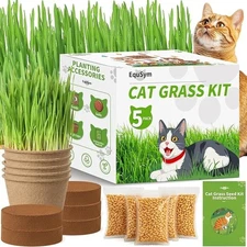 5Pack Cat Grass Seeds Kit - Cat Grass Seeds Growing Set for Indoor Cats, Non ...