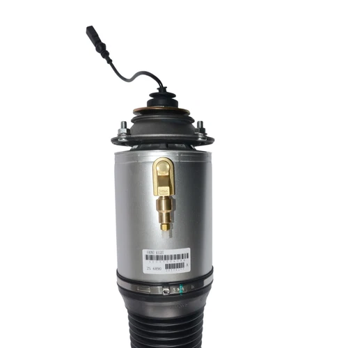 Puntone ammortizzatore sospensione pneumatica anteriore destro adatto per Audi A8 A8L D3 S8 quattro 2002-2010 - Foto 9 di 12