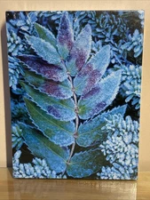 First Frost 500 Piece Jigsaw Puzzle Springbok 18x23 SEALED