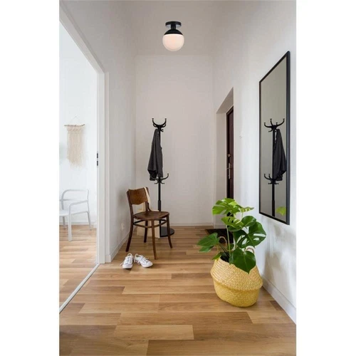 Living District Eclipse 1-Light Metal & Glass Flush Mount in Black/Frosted White - Picture 2 of 6