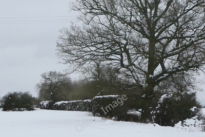 Photo 6x4 Footpath to Stratfield Saye Taken a few days after the heaviest c2010