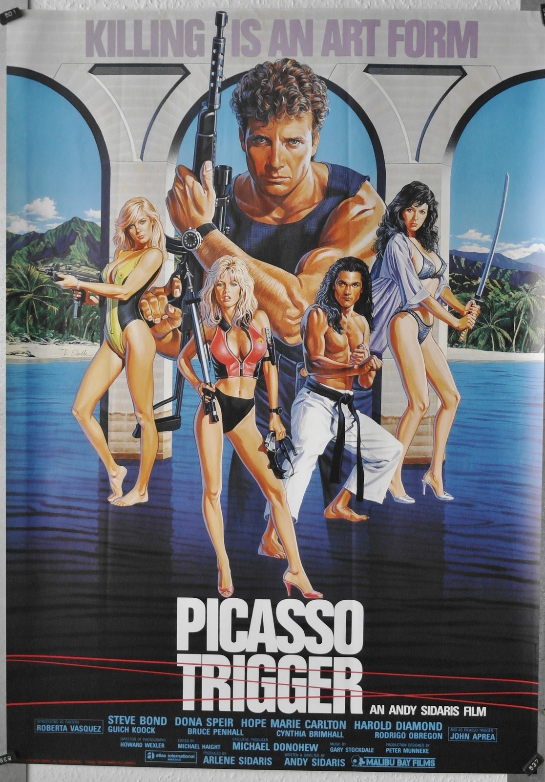 A23 PICASSO TRIGGER Steve Bond/Dona Speir - FILMPLAKAT - GEROLLT