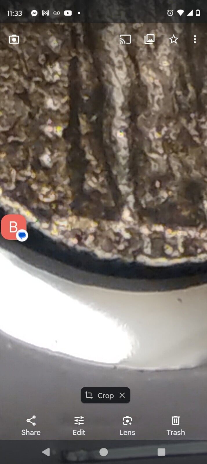 Picture 10 of 15