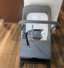 Baby Delight Alpine Deluxe Portable Bouncer, Infant, Months, Charcoal Tweed