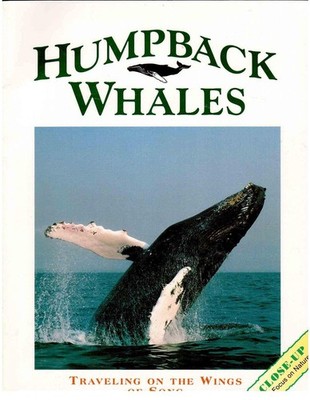 Humpback Whales: Traveling on the Wings of a Song (Close Up) - Gohier, Franc...