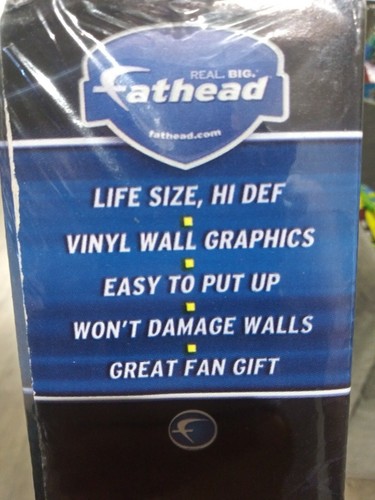 Jacksonville jaguars Fathead Helmet Logo - Picture 3 of 5