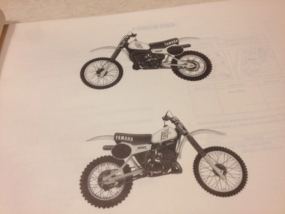 1981 yamaha yz250 deals