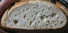 original san francisco sourdough starter yeast baking bread and pizza "sally" z