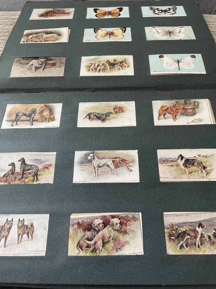 Cigarette Card Album - Image 4 of 4