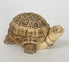 Harmony Kingdom One Step Ahead Turtle Trinket Box Figurine