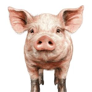 Farm Animals Pig Piglet Self Adhesive Vinyl Sticker