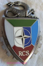 IN11101 - INSIGNIA Command and Support Regiment, D.M.N.S.E, I.F.O.R.