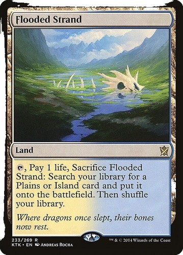 Foil Flooded Strand M/NM Magic: The Gathering MTG Zendikar Rising