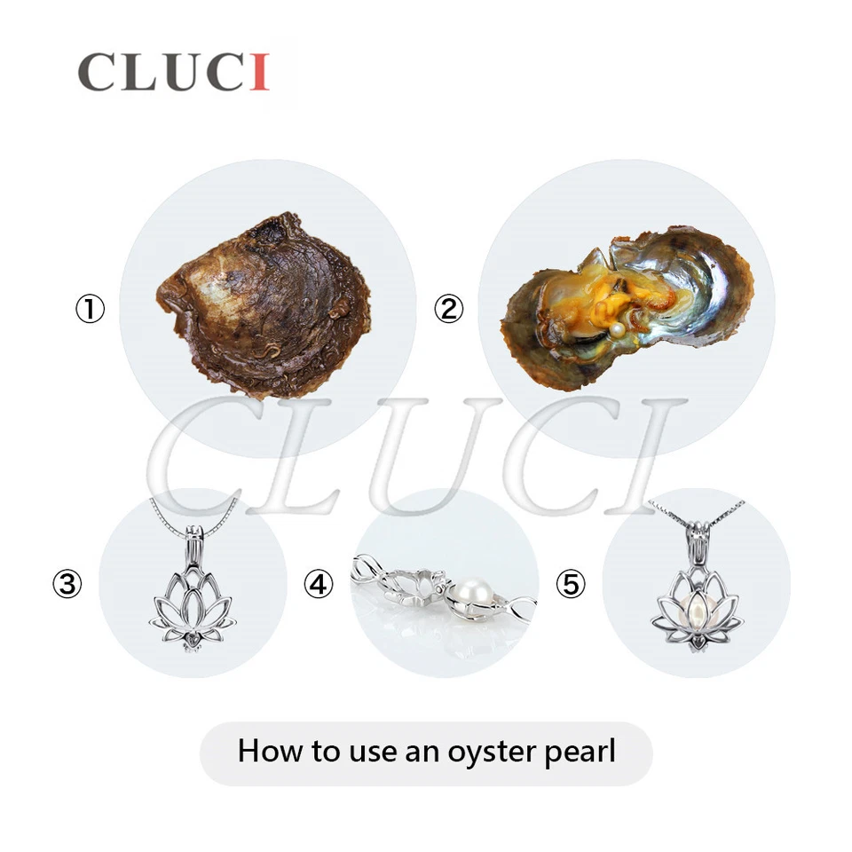 CLUCI wholesale low price SALTWATER 6-7mm Akoya round pearl in oyster vacuumpack - Image 4 of 4
