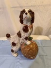 Vintage Staffordshire Porcelain Pottery Springer Spaniel Dog With Ball Yarn 12”