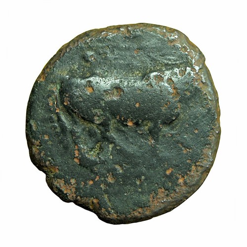Ancient Greek Coin Gela Sicily AE16mm Bull / River God Gelas 03908 - Picture 2 of 3